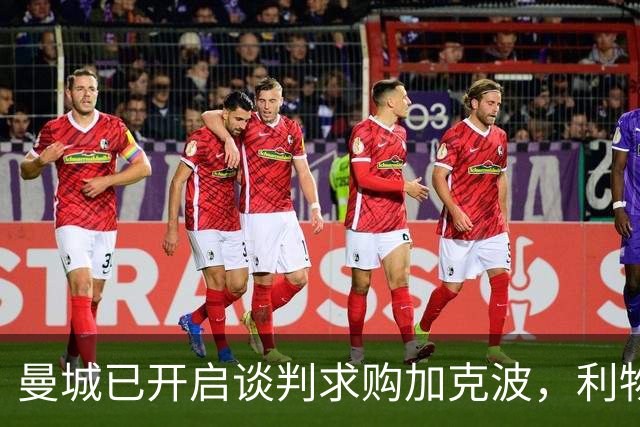 曼城已开启谈判求购加克波，利物浦或要求先补强锋线